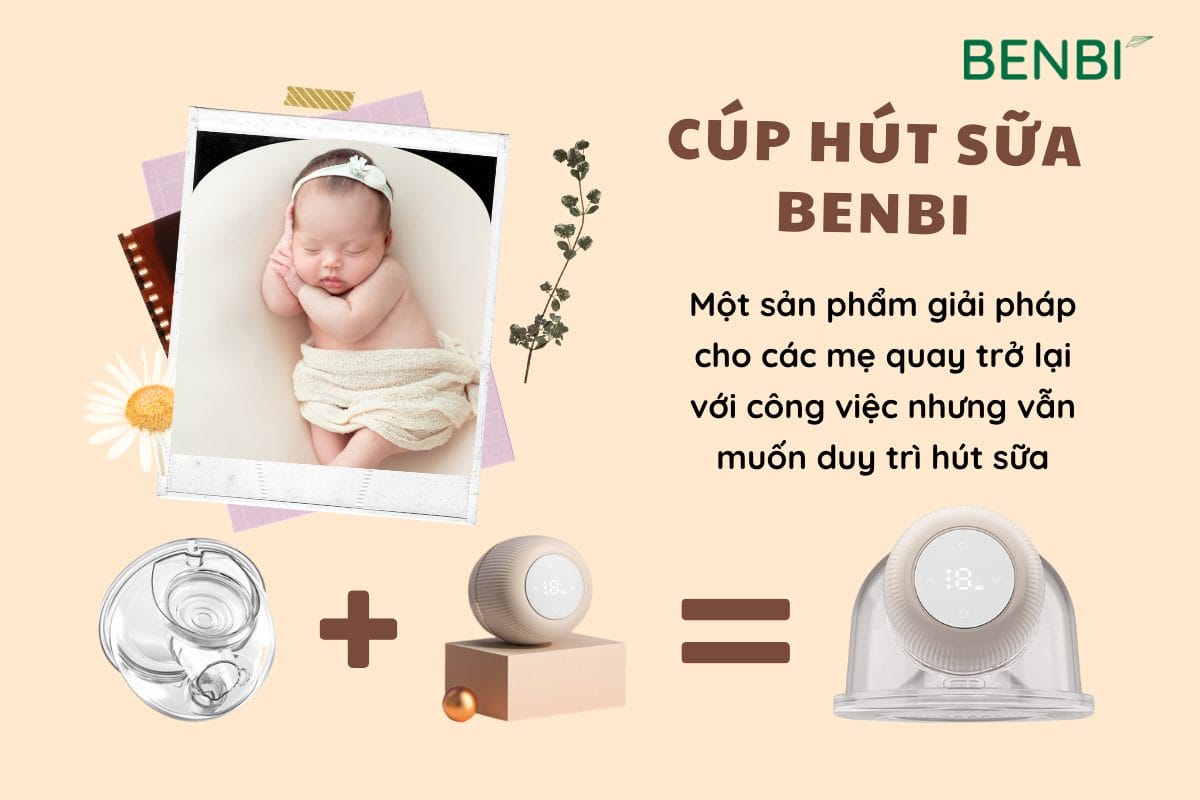 Cúp Hút Sữa Rảnh Tay – Dùng Cho Ryan & Flex